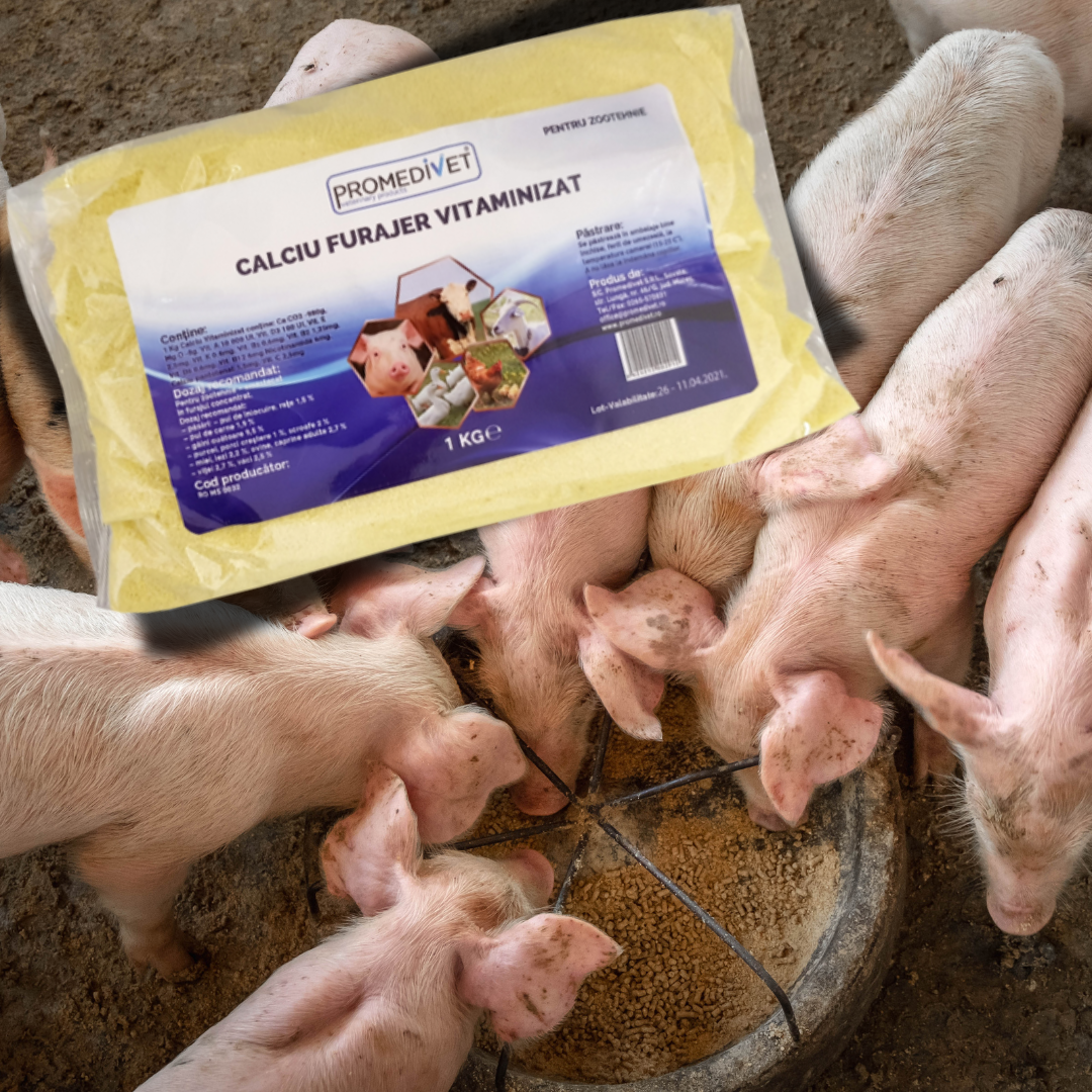 Aditiv Îngrășare Animale – Calciu Furajer Vitaminizat