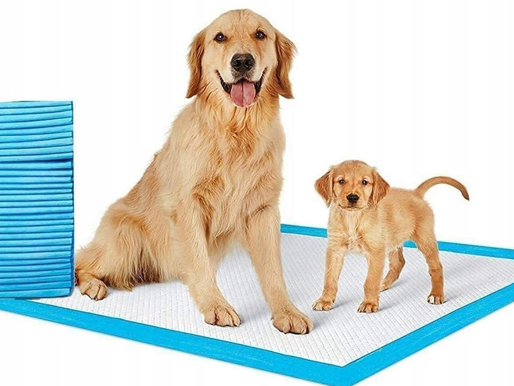 Set 100 Covorașe Absorbante Igienice pentru Animale marime 45x60cm