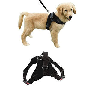 Ham pentru caini, reflectorizant, confortabil, marime XL-0