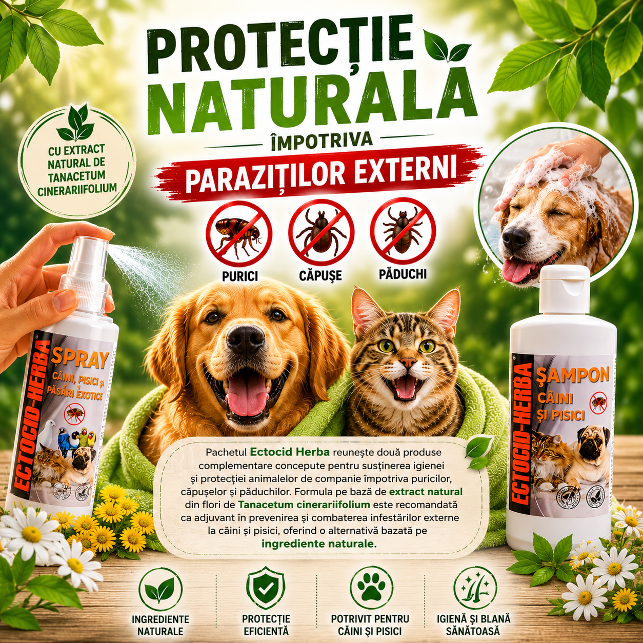 Pachet Ectocid Herba Purici & Căpușe – Spray Antiparazitar 100 ml + Șampon Antiparazitar 200 ml pentru Câini și Pisici