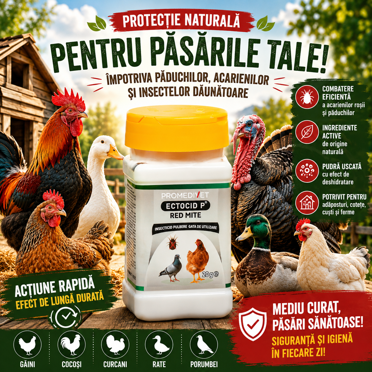 Ectocid P Red Mite 20 g – Tratament natural împotriva păduchilor și acarienilor la găini
