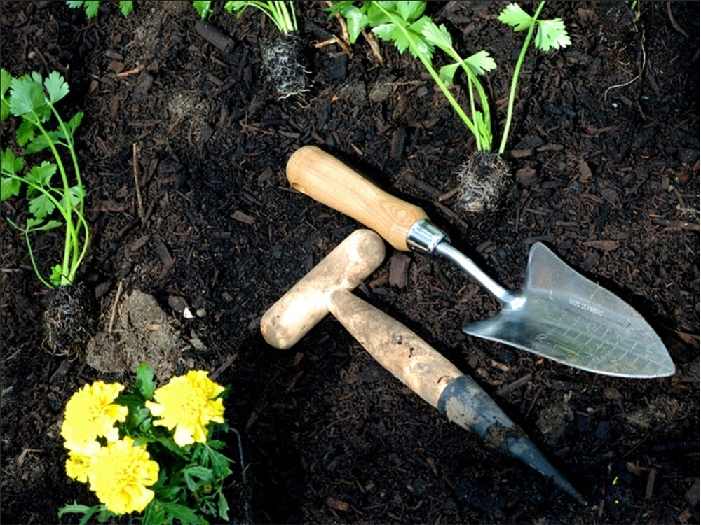 Unealta de Plantat din Lemn pentru Bulbi și Plante în Ghivece