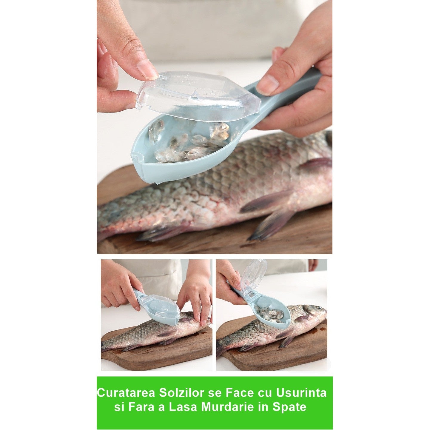 Curatator Manual Solzi de Peste, Flippy, Forma Peste , Recipient cu Capcac pentru Solzi, Plastic, Albastru deschis, 16x6 cm-1