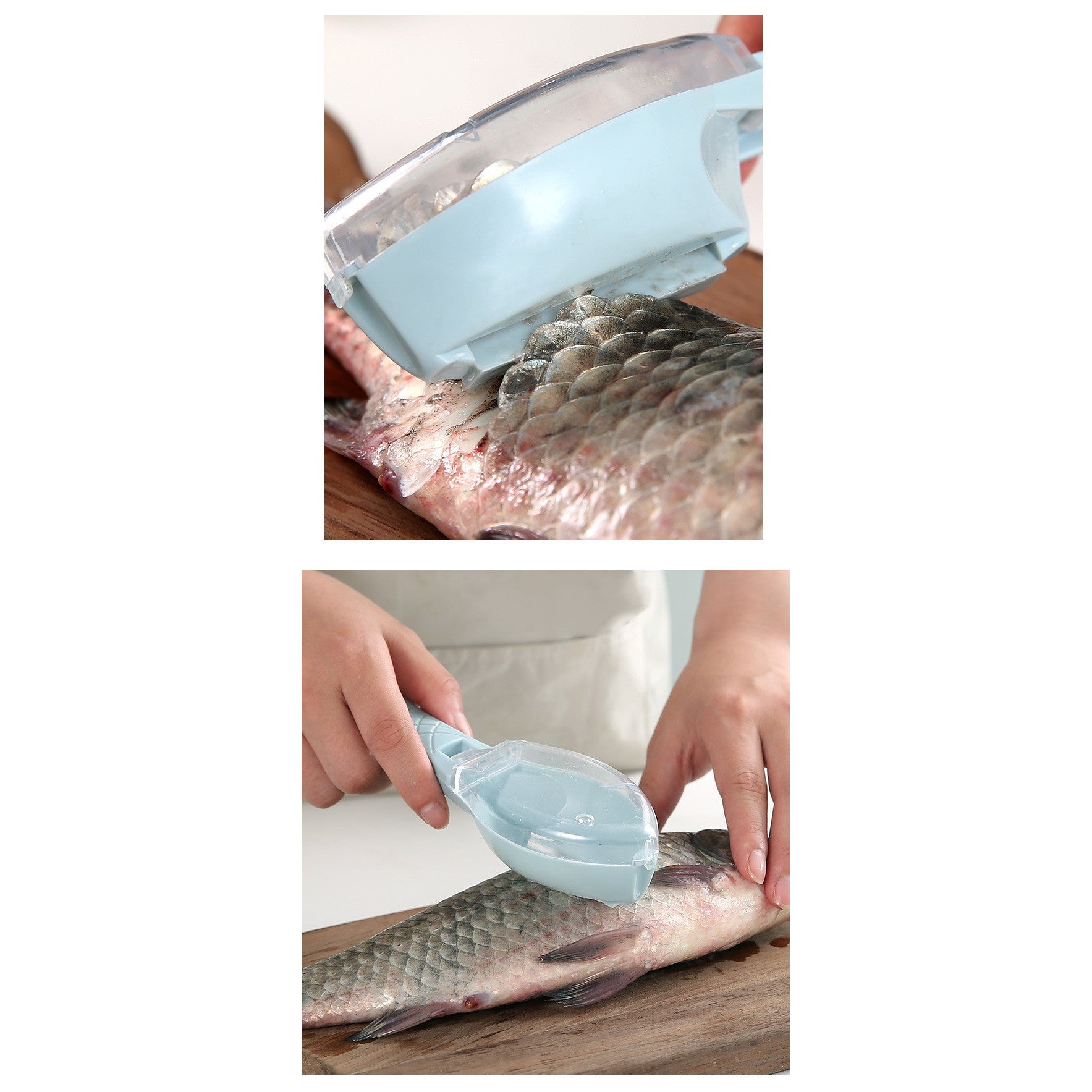 Curatator Manual Solzi de Peste, Flippy, Forma Peste , Recipient cu Capcac pentru Solzi, Plastic, Albastru deschis, 16x6 cm-3