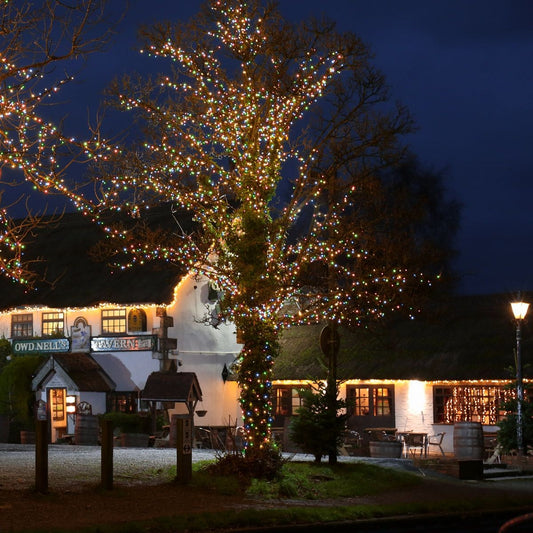 Instalatie de Craciun Liniara Yoto, 50 m, 1 m Prelungitor 220V, 498 LED, 8 Jocuri de Lumini, Controler, Fir Negru, Utilizare Interior/Exterior, Protectie anti-inghet, Fir Cupru, Multicolor-1