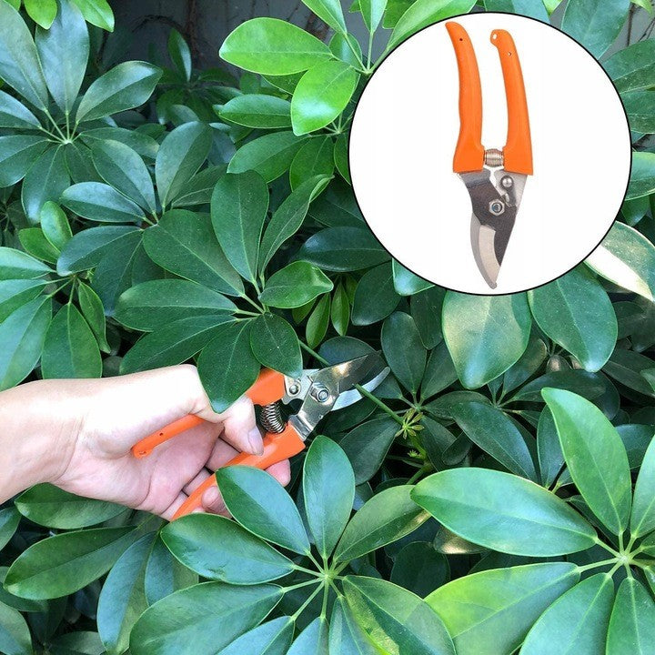 Set 12 Unelte de Gradina, Flippy, pentru Plantare Prelucrare Sol si Ingrijire Plante, Manere Portocalii, Material PVC si Cardboard, Cutie Inclusa, 37x28 cm, Negru-1