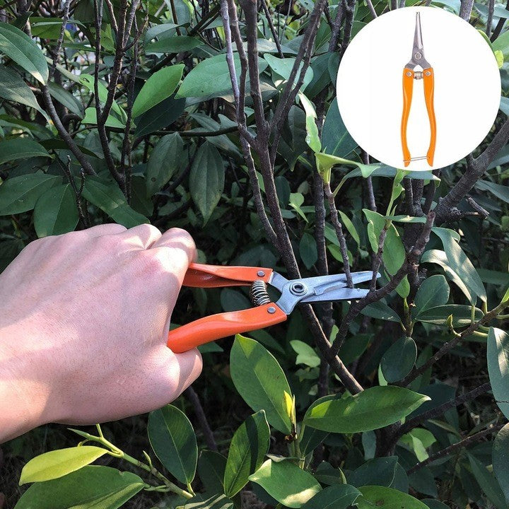 Set 12 Unelte de Gradina, Flippy, pentru Plantare Prelucrare Sol si Ingrijire Plante, Manere Portocalii, Material PVC si Cardboard, Cutie Inclusa, 37x28 cm, Negru-2