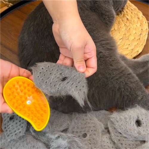 Set Pet Cleaner – Fur Wizard + Perie 3 în 1 cu Aburi pentru Animale de Companie