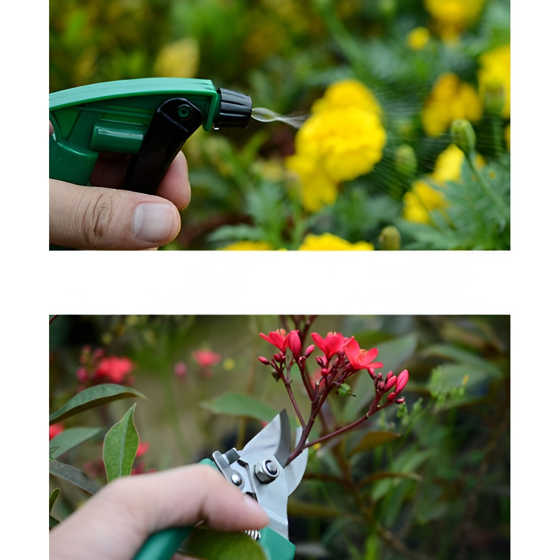 Set 12 Unelte de Gradina, Flippy, pentru Plantare Prelucrare Sol si Ingrijire Plante, Material PVC si Cardboard, Cutie Inclusa, 37x28 cm, Verde deschis-1