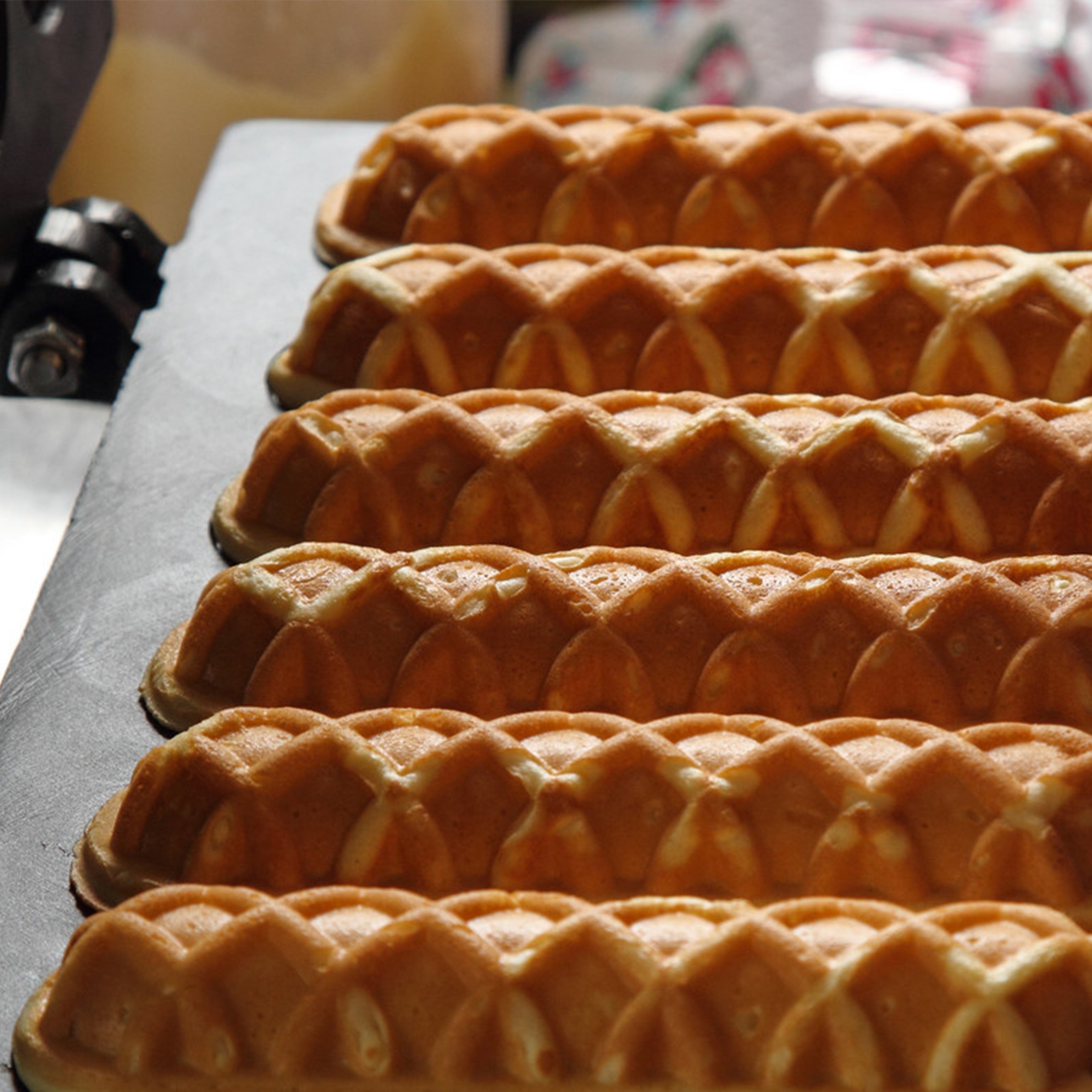 Aparat de prajit hotdog maker,marca SONIFER SF 6069 800W