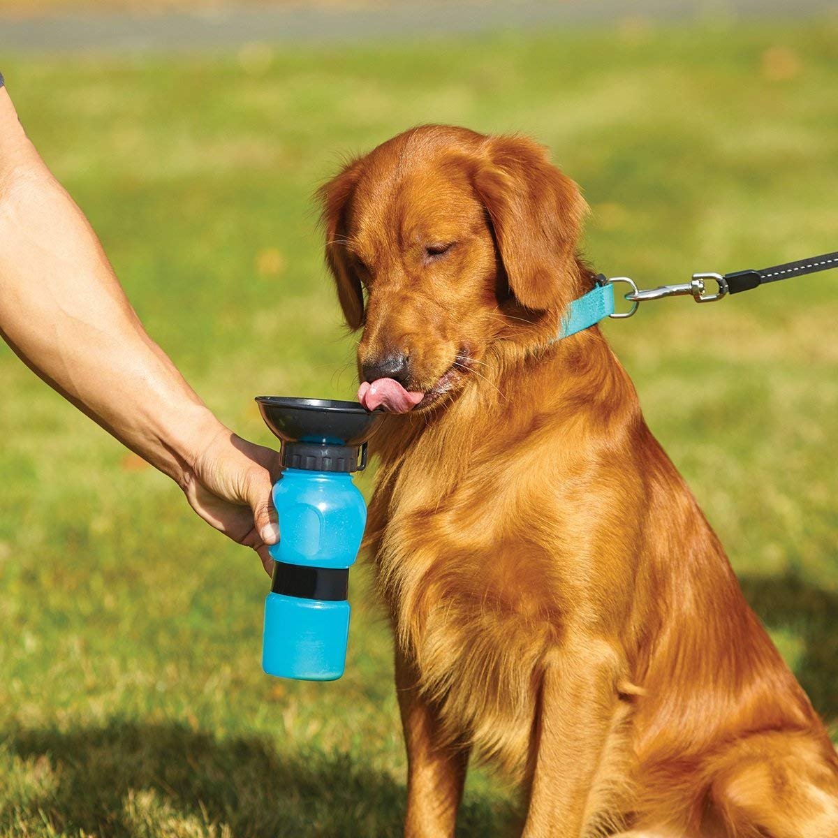 Sticla din silicon cu bol de apa pentru caini, Aqua Dog, 585 ml