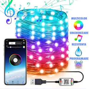 Instalatie de Craciun RGB cu Control Bluetooth prin Aplicatie, 10/20 M