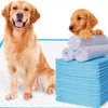 Set 50 Covorașe Absorbante Igienice pentru Animale marime 45x60cm