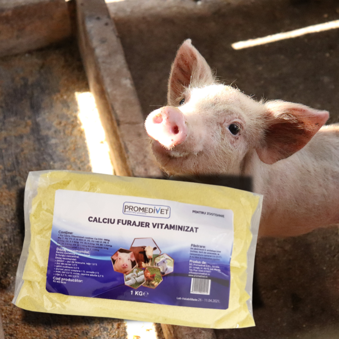 Aditiv Îngrășare Animale – Calciu Furajer Vitaminizat
