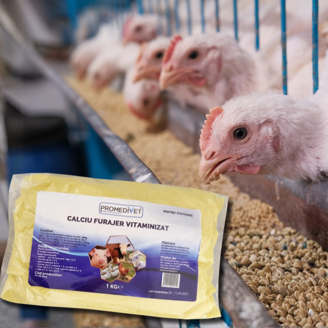 Aditiv Îngrășare Animale – Calciu Furajer Vitaminizat