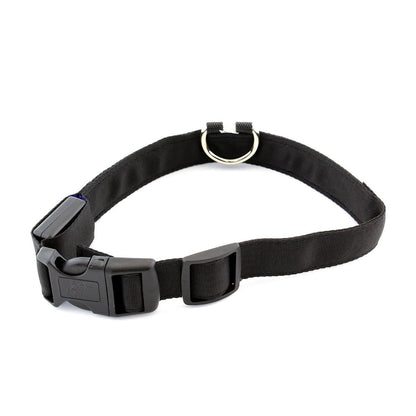 Zgarda iluminata cu LED pentru caine sau pisica, culoare Albastra, AVX-AG232A-1