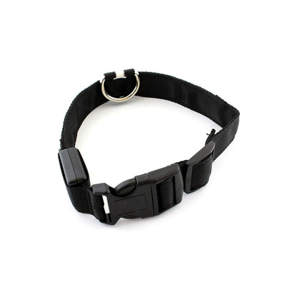 Zgarda iluminata cu LED pentru caine sau pisica, culoare Galben, AVX-AG232B-1