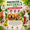 Pachet Ectocid Herba Purici & Căpușe – Spray Antiparazitar 100 ml + Șampon Antiparazitar 200 ml pentru Câini și Pisici