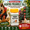 Ectocid P Red Mite 20 g – Tratament natural împotriva păduchilor și acarienilor la găini