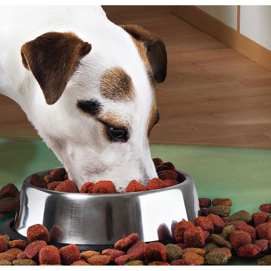 Castron Metalic pentru hranire animale de companie - 29cm-0
