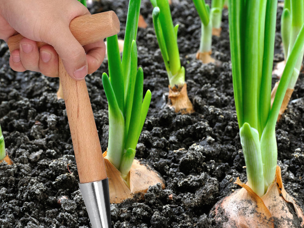 Unealta de Plantat din Lemn pentru Bulbi și Plante în Ghivece