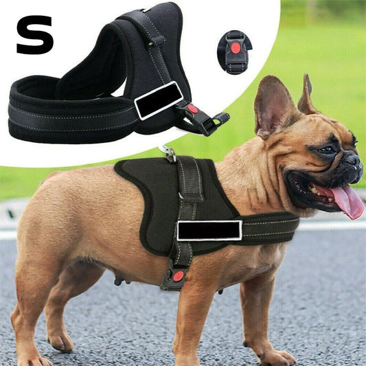 Ham pentru caini SENIOR DOG S (60 - 75cm)-0