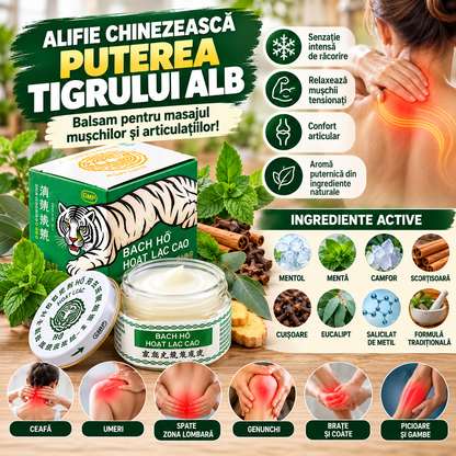 Pachet Antidurere 2 în 1 – 100 Plasturi cu Pelin + Alifie Chinezească Tigrul Alb 18,4g pentru Dureri Musculare, Reumatice, Articulare