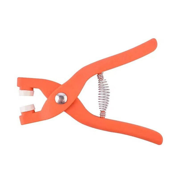 Cleste pentru capse - cu 25 de capse incluse