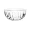 Bol cu un Singur Strat, Flippy, pentru Fructe, Legume, Snacks, 22.4x9 cm, Transparent-0