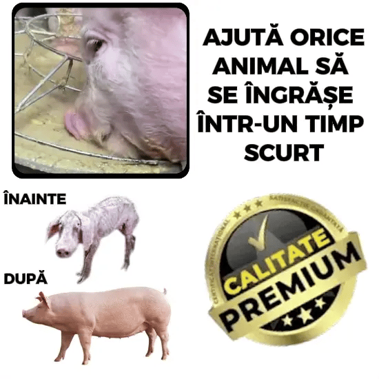 Aditiv Îngrășare Animale – Calciu Furajer Vitaminizat