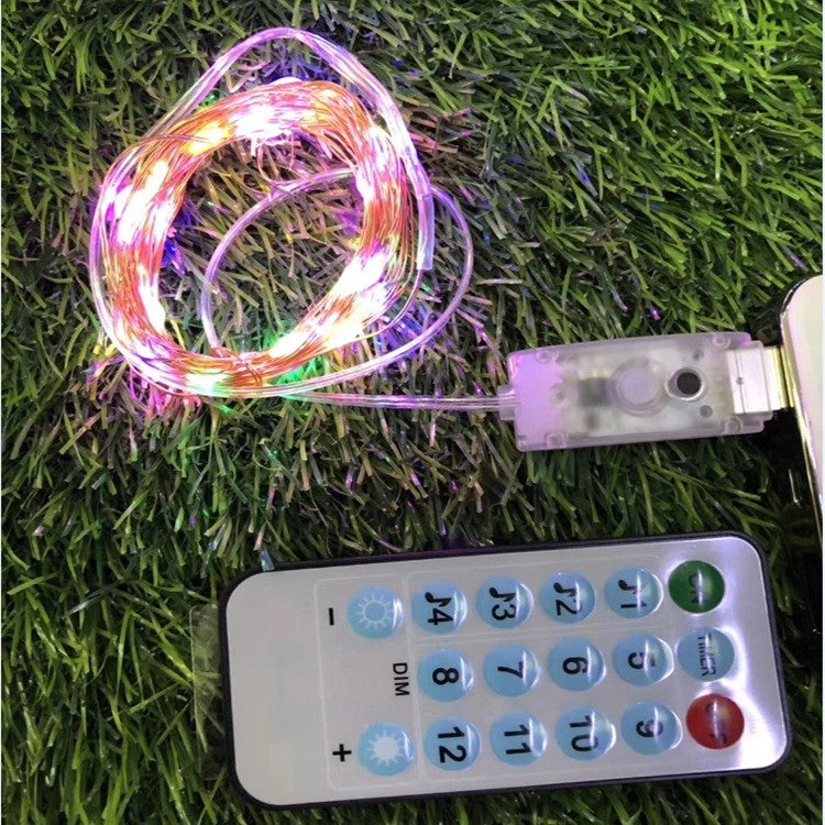 Instalatie Craciun, 5 metri, 50 LED-uri, multicolor RGB, sincronizare muzica, telecomanda 12 de functii, USB, fir cupru, liniar, interior/exterior, Flippy-5