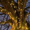 Instalatie Craciun liniara, cu transformator 31V, 10m, alb cald, 100 LED-uri V5, 8 jocuri de lumini, Fir verde, Flippy-0