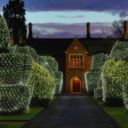 Instalatie Craciun, Tip Plasa, IP 44, 3 x 1 m, 160 LED-uri, Alb rece, 8 jocuri de lumini, Transformator fara telecomanda, Interconectabila, Prelungitor 3 m inclus, Fir transparent, Flippy-4