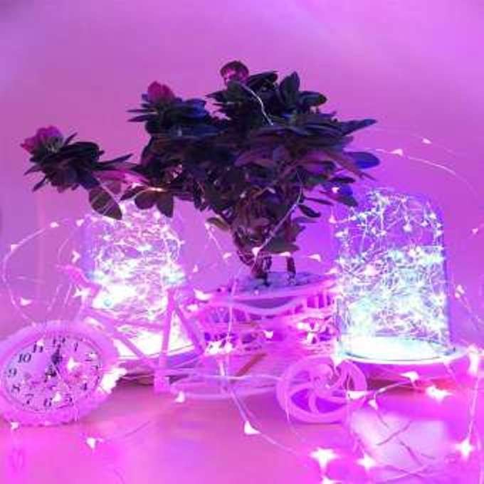Instalatie de Craciun cu Baterii Fir Cupru Tip Sir 5 m 50 LED -uri Roz-2