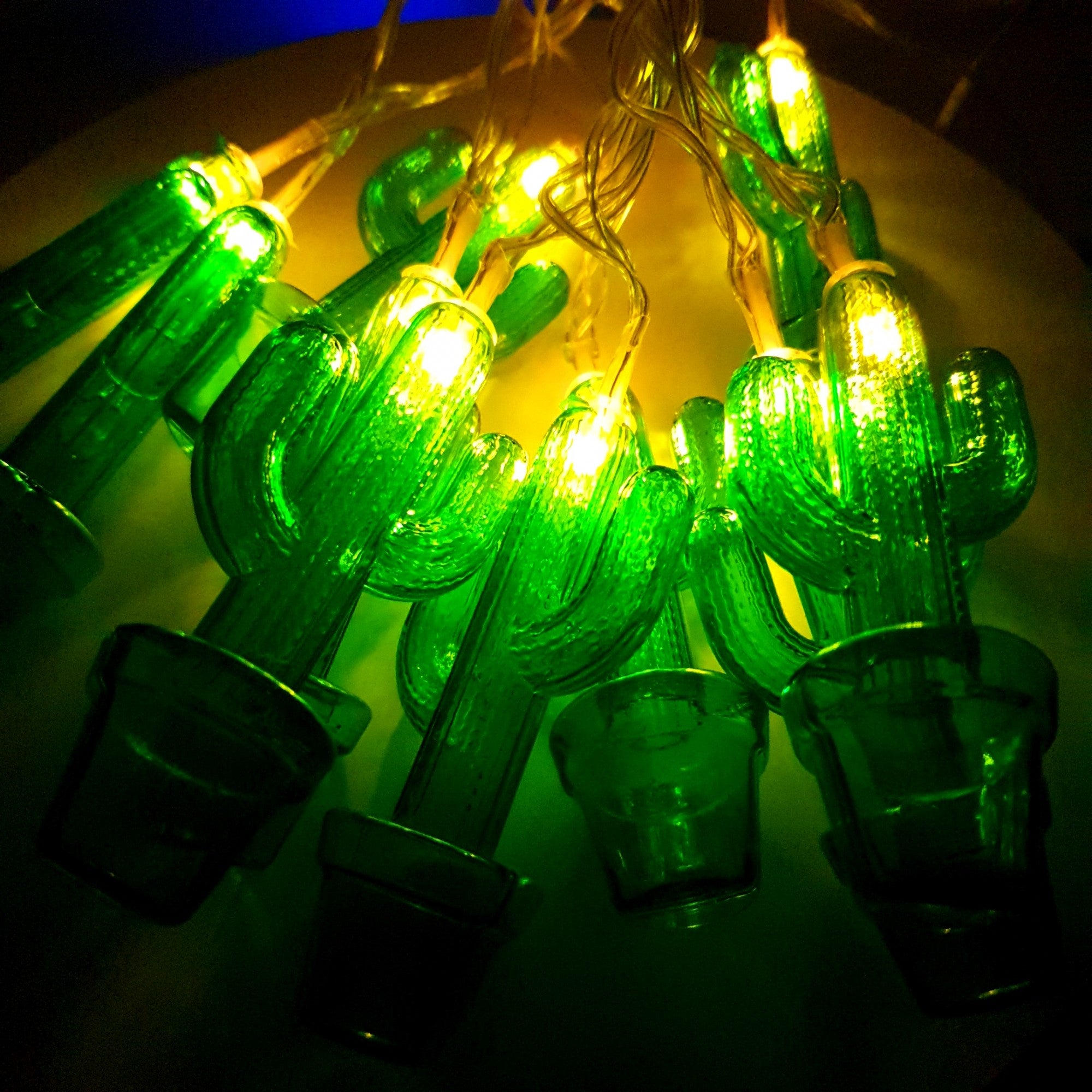 Instalatie de Craciun cu Baterii Fir Transparent Tip Sir 1.5 m 10 LED -uri Cactus Alb Cald-4