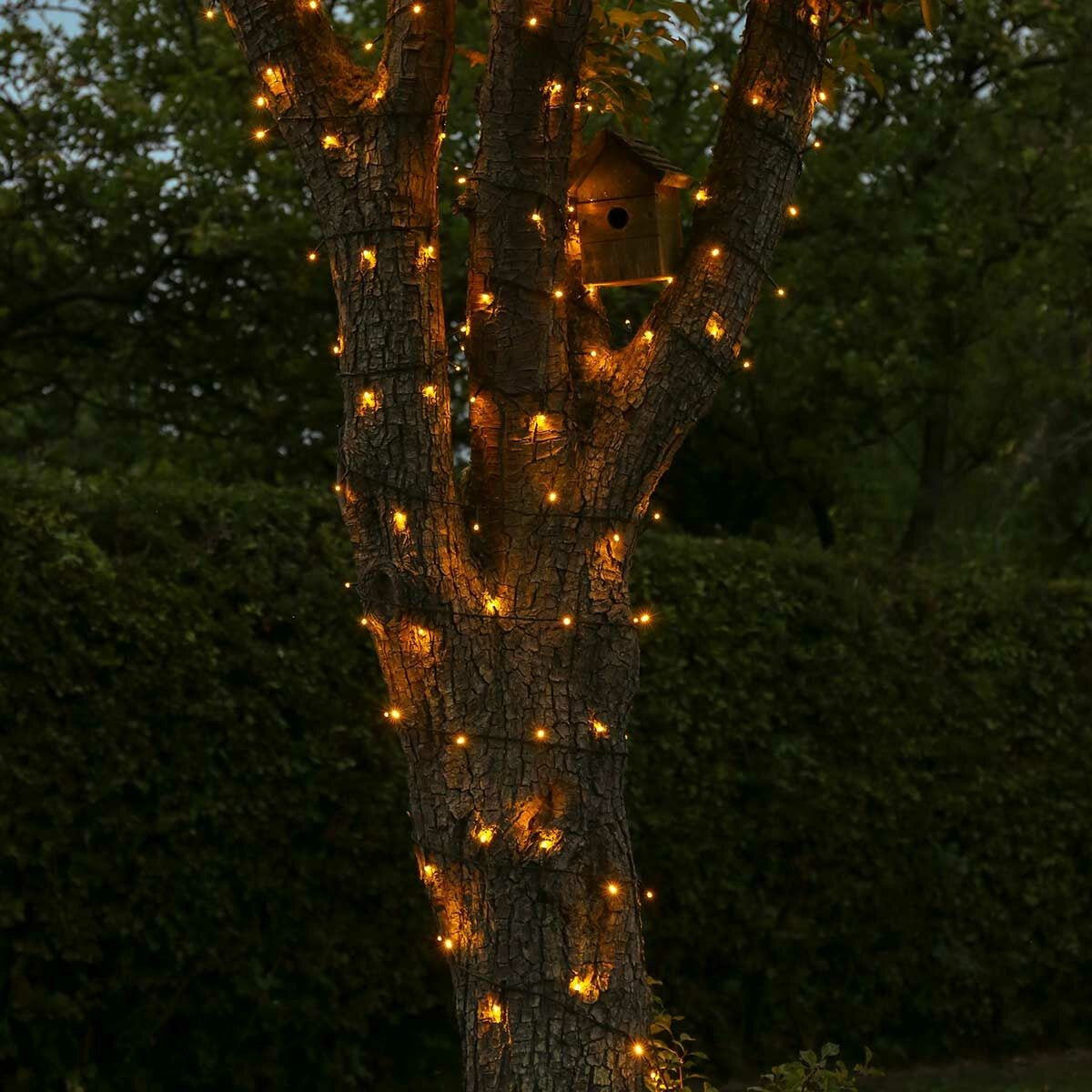 Instalatie de Craciun liniara Yoto, 17 m, din care 1 m cablu priza 220V, 200 LED, 8 jocuri de lumini, controler, fir negru, alb cald-2