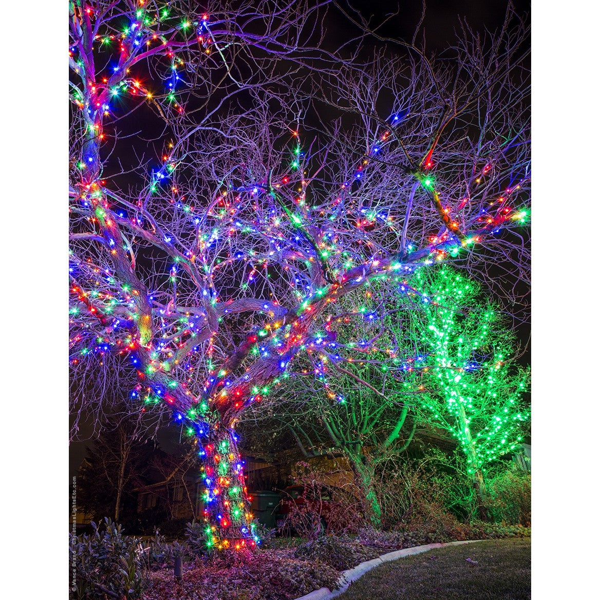 Instalatie de Craciun liniara Yoto, 24 m, din care 1 m cablu priza 220V, 300 LED, 8 jocuri de lumini, controler, fir negru, multicolor-1