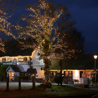 Instalatie de Craciun Liniara Yoto, 50 m, 1 m Prelungitor 220V, 498 LED, 8 Jocuri de Lumini, Controler, Fir Negru, Utilizare Interior/Exterior, Protectie anti-inghet, Fir Cupru, Multicolor-1