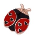 Martisor Brosa Mica in Cutie, Dimensiune Brosa 2.5-3 cm, Material Metal, Model Buburuza-0