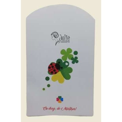 Plic Martisor-1