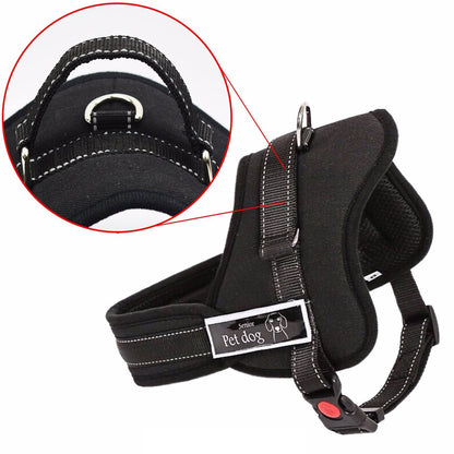 Ham pentru caini SENIOR DOG S (60 - 75cm)-3