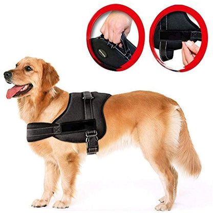 Ham pentru caini SENIOR DOG S (60 - 75cm)-4