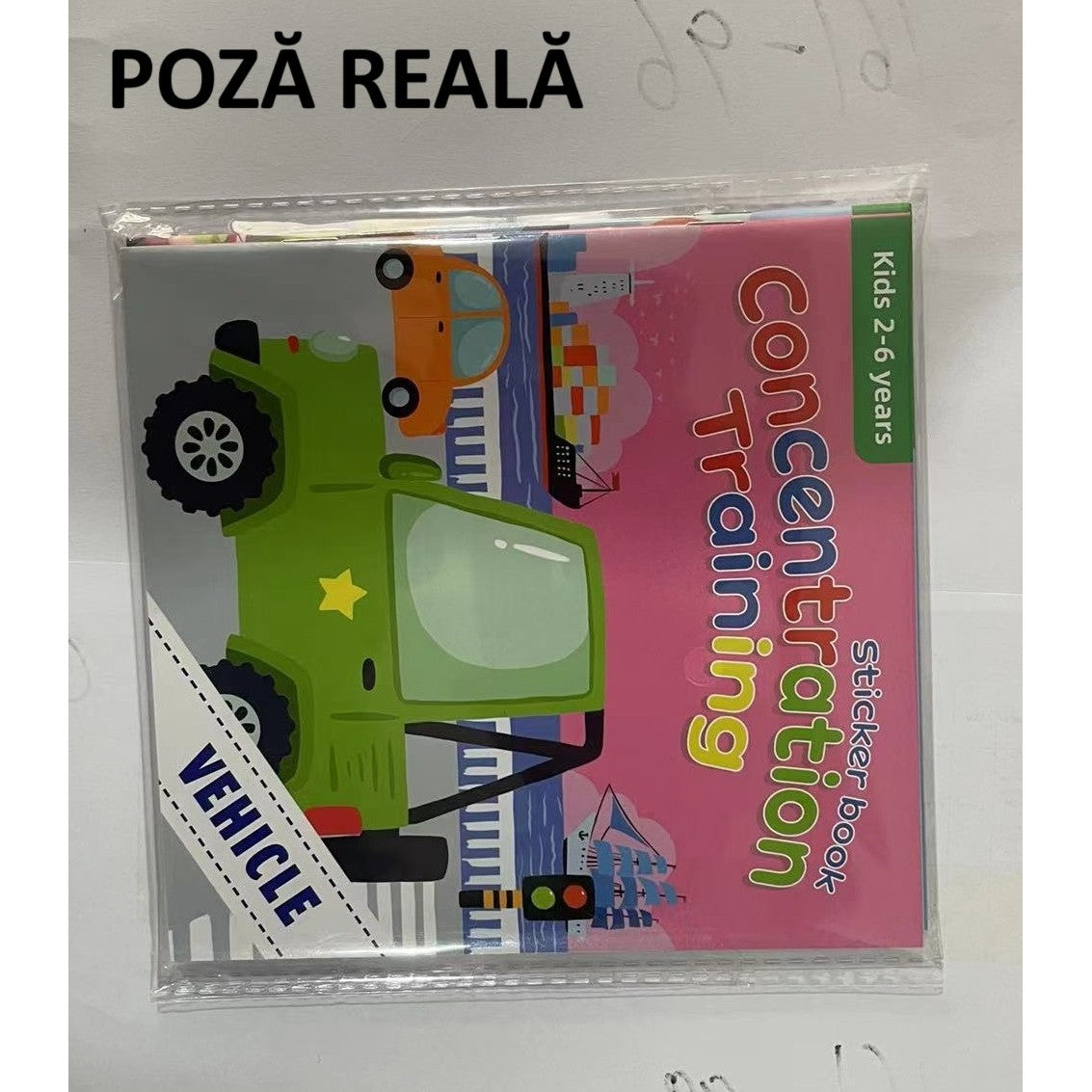 volume de carte de autocolante pentru produse noi transfrontaliere Amazon, care se concentrează pe autocolante de dezvoltare potențială, comoara de iluminare a copiilor Cartea educatie prescolar + DB01-99-0002 (set 10 volume)-6
