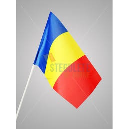 Steag de mana tricolor 20 x 30 CM-2