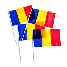 Steag de mana tricolor 20 x 30 CM-3