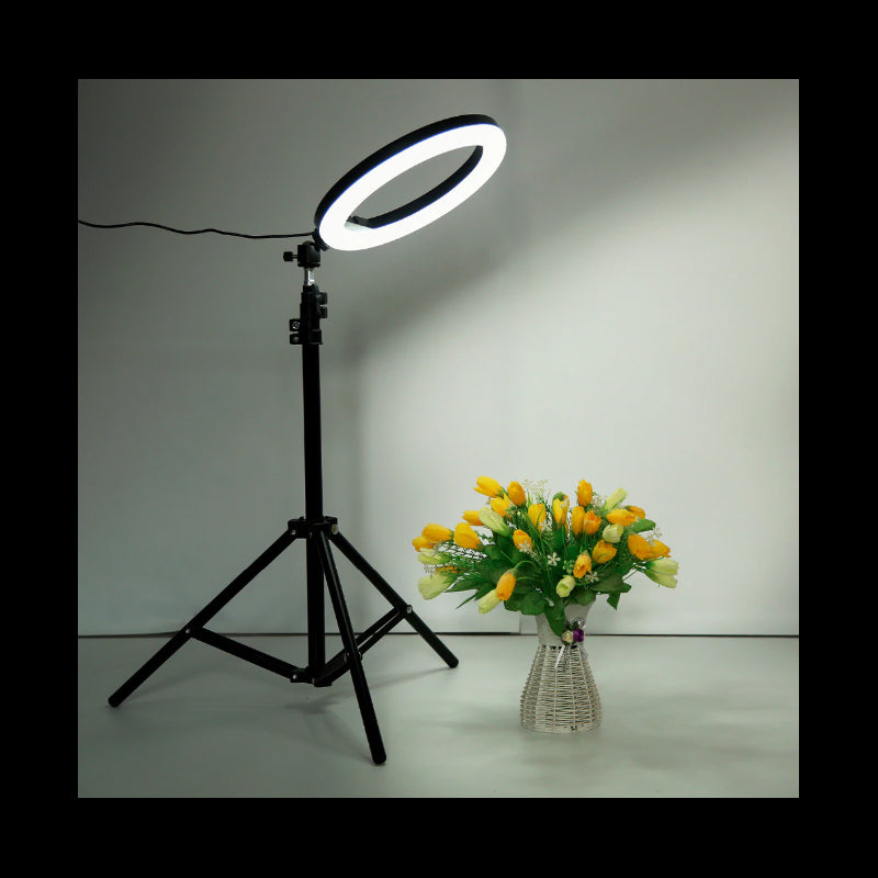Lampa circulara Ring Light, 26cm/10inch LED, USB, reglaj lumina pe fir, Tiktok, Youtube, Profesionala