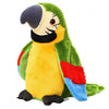 Jucarie Interactiva, Papagalul Vorbitor, multicolor