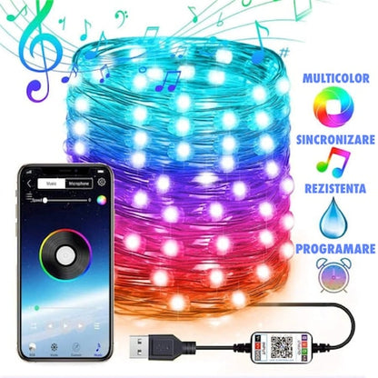 Instalatie de Craciun RGB cu Control Bluetooth prin Aplicatie, 10/20 M